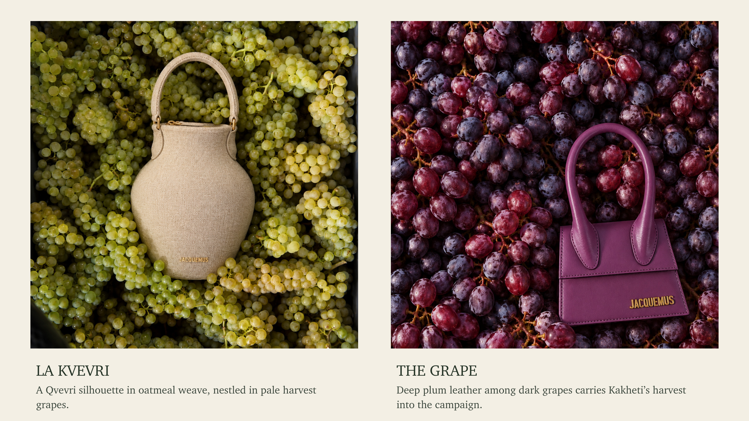 La Kvevri and The Grape — two bags among green and purple grapes, page 3 of 13