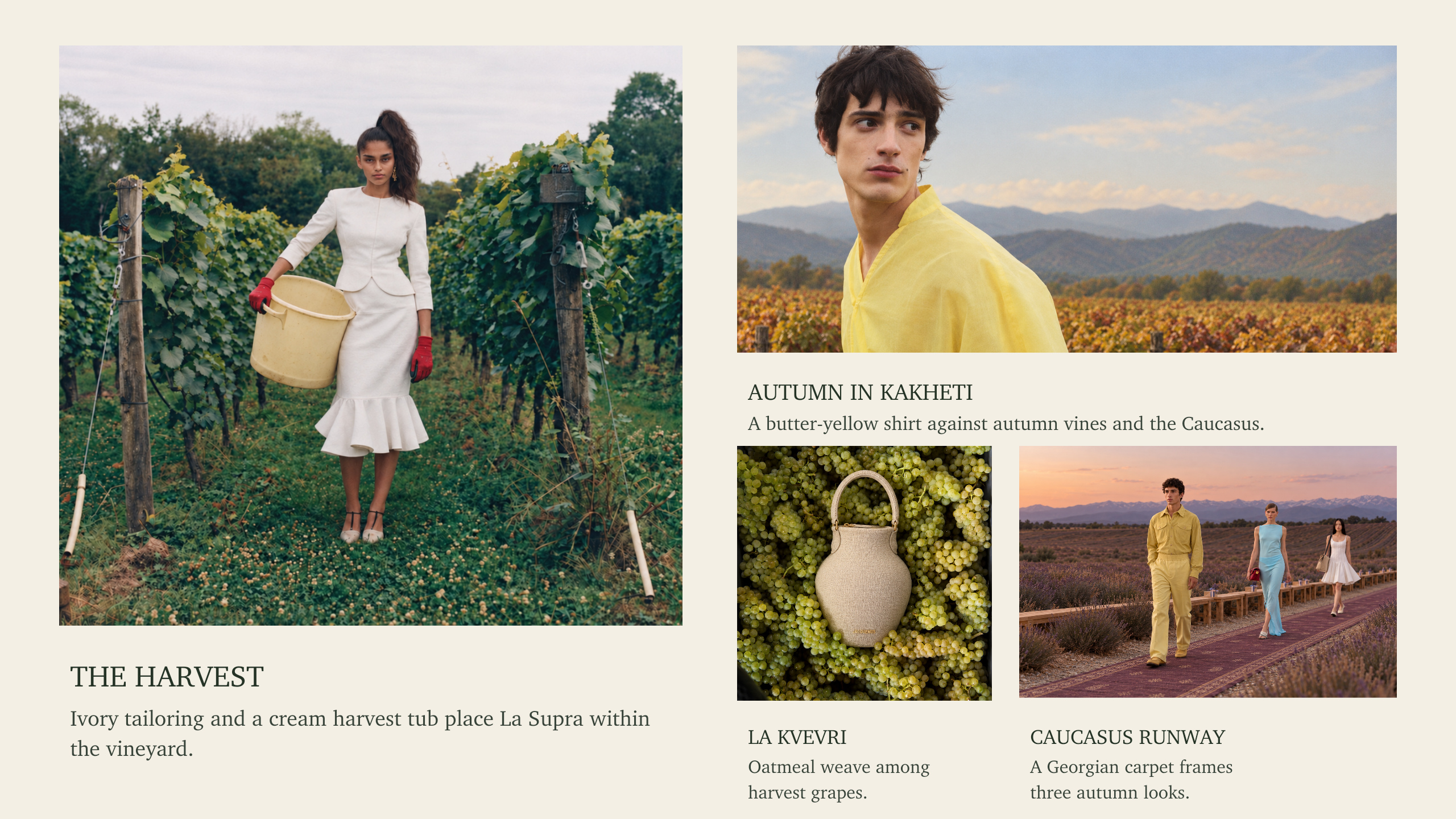 The Harvest — vineyard campaign, autumn in Kakheti and Caucasus runway, page 7 of 13